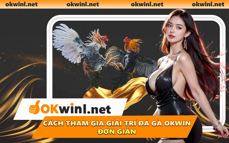 Cách tham gia giải trí đá gà OKWIN đơn giản
