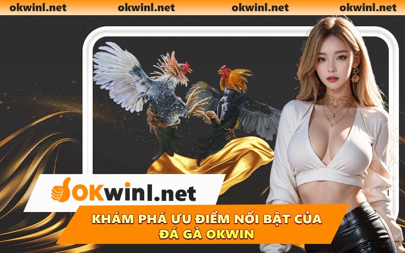 Khám phá ưu điểm nổi bật của đá gà OKWIN