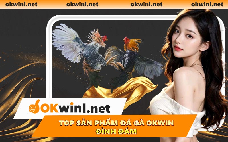 Top sản phẩm đá gà OKWIN đình đám