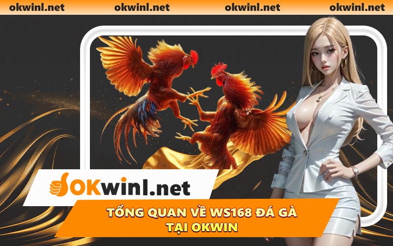 Tổng quan về WS168 Đá Gà tại OKWIN
