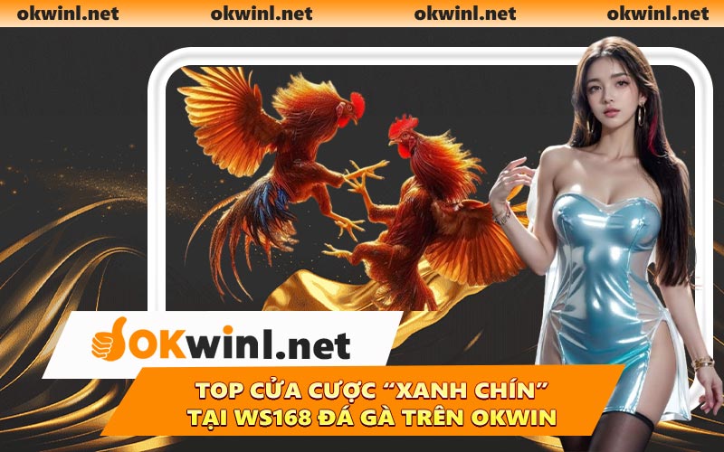 Top cửa cược “xanh chín” tại WS168 Đá Gà trên OKWIN