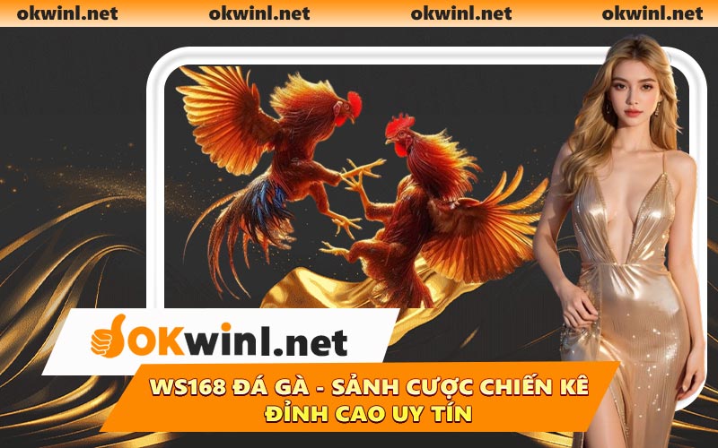 WS168 Đá Gà - Sảnh Cược Chiến Kê Đỉnh Cao Uy Tín